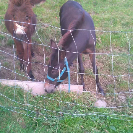Troadkasten Hollnhof, Bezaubernder Panoramablick Apartament Donnersbach