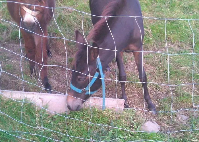 Troadkasten Hollnhof, Bezaubernder Panoramablick Apartmán Donnersbach